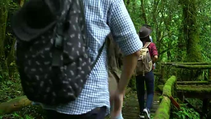 一群背着背包的徒步旅行者正在热带雨林中徒步旅行。朋友们在周末探索山林。