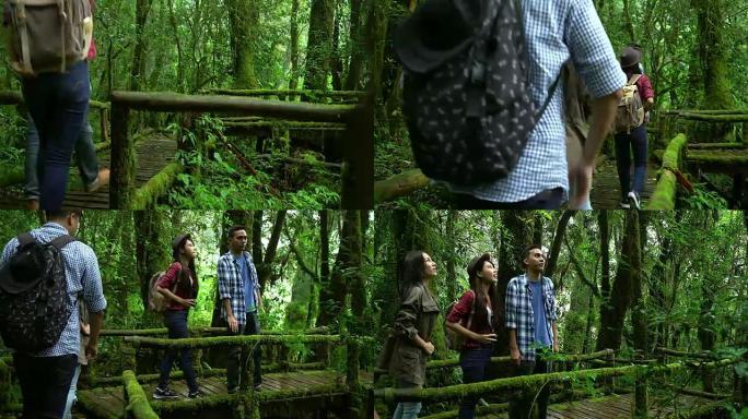 一群背着背包的徒步旅行者正在热带雨林中徒步旅行。朋友们在周末探索山林。