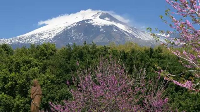 意大利西西里岛。卡塔尼亚的Giardino Bellini公园和白雪皑皑的埃特纳火山盛开的春天树木