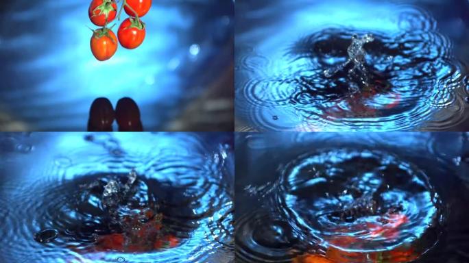 葡萄藤西红柿落入水中
