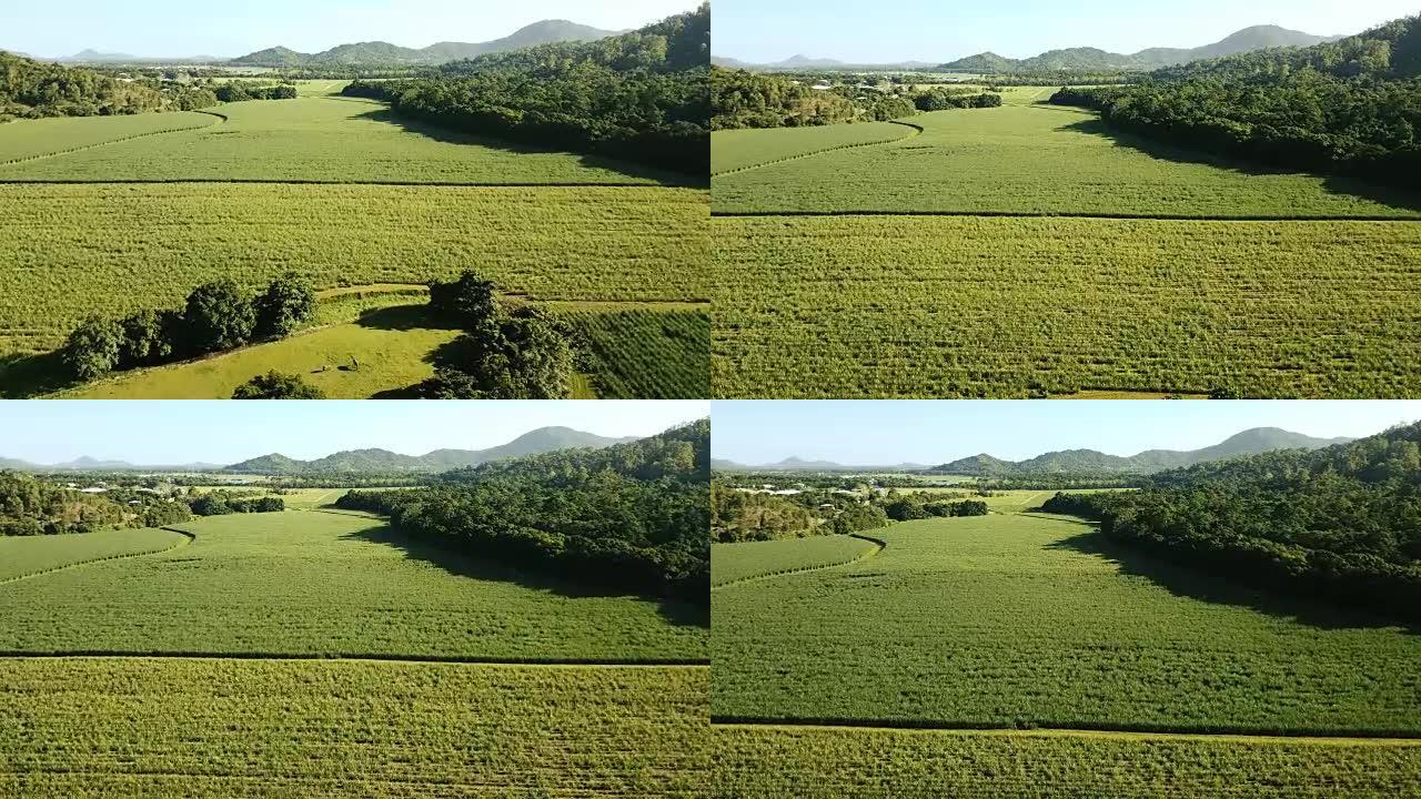 澳大利亚作物的线形。农场鸟瞰图