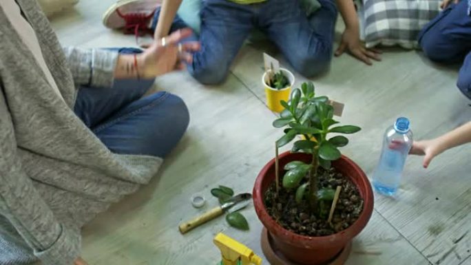 幼儿园里的孩子给盆栽植物浇水