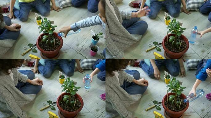 幼儿园里的孩子给盆栽植物浇水