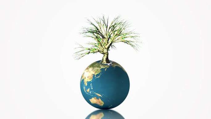 地球地球随着树木的生长而旋转