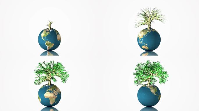 地球地球随着树木的生长而旋转