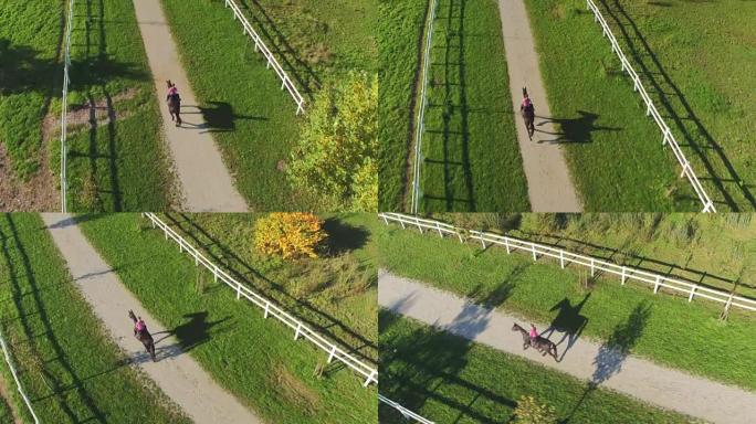 空中: 阳光明媚的日子里，女子骑马在马场上强力gel
