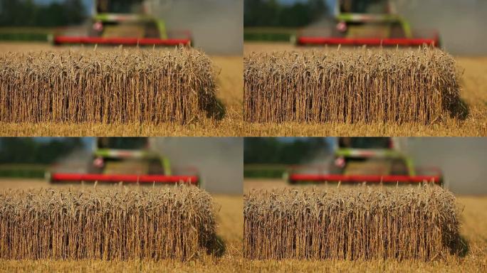 HD联合收割机收割麦田