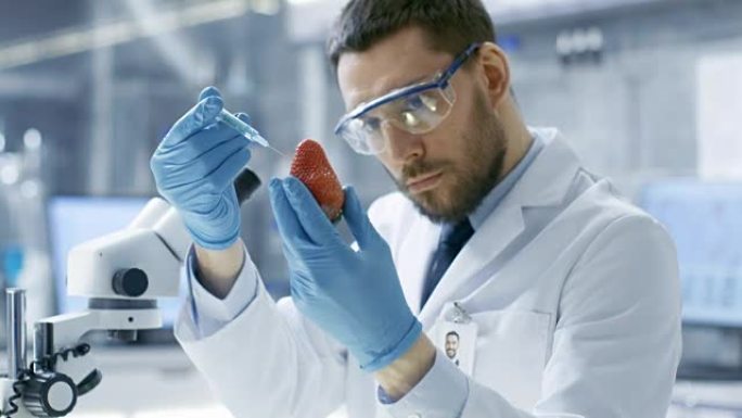 在现代实验室中，食品科学家用注射器注射草莓。他正在研究这种产品的基因改造。