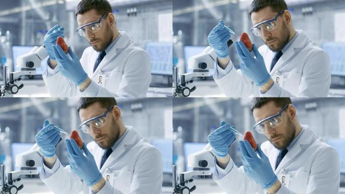 在现代实验室中，食品科学家用注射器注射草莓。他正在研究这种产品的基因改造。