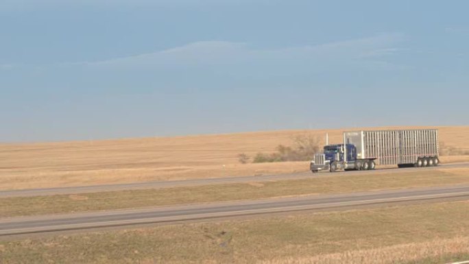 封闭货运牲畜集装箱半卡车在道路上运输动物