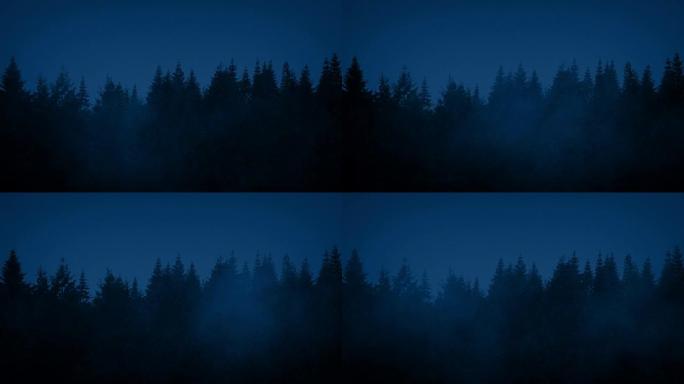 迷雾之夜的一排树木