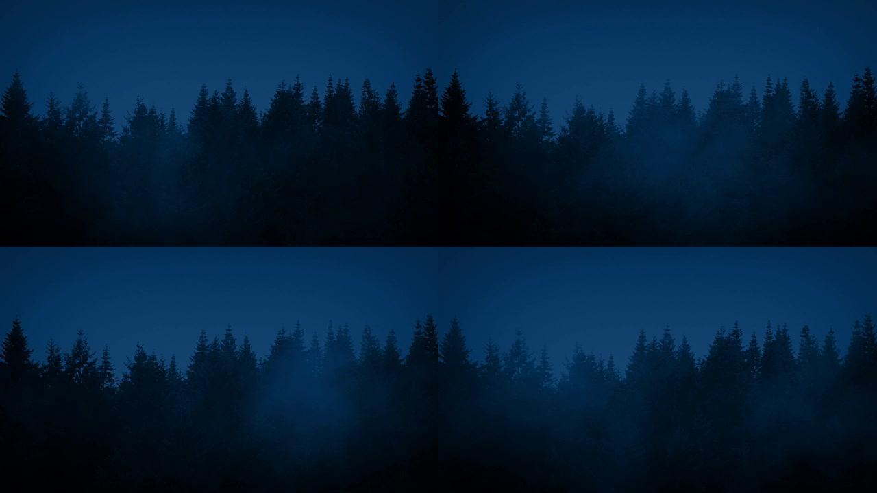 迷雾之夜的一排树木
