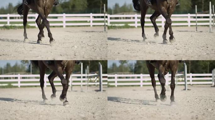 在沙质户外竞技场中，马腿进行侧身小跑的慢动作细节