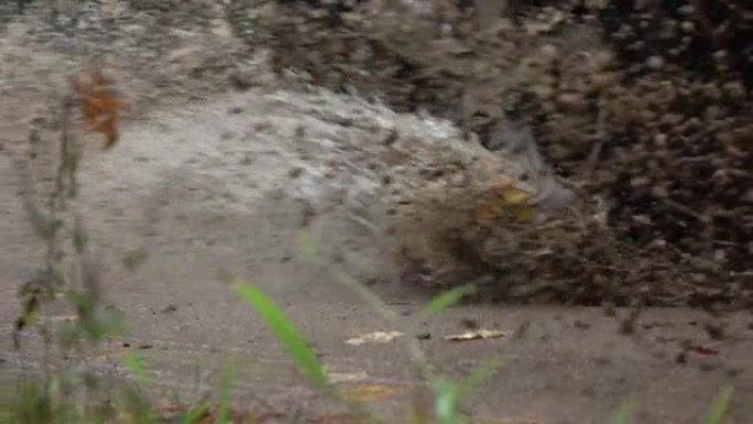 慢动作特写: SUV汽车在土路上的深雨水坑上行驶