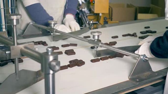 两名工厂工人正在分类巧克力糖果