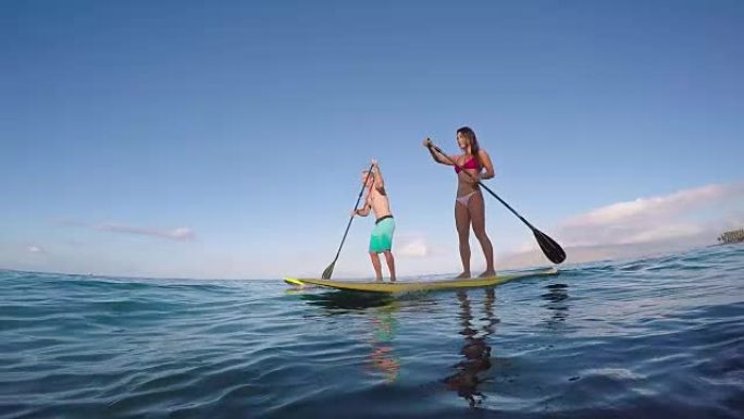 夫妇在夏日站起来在海洋中划水