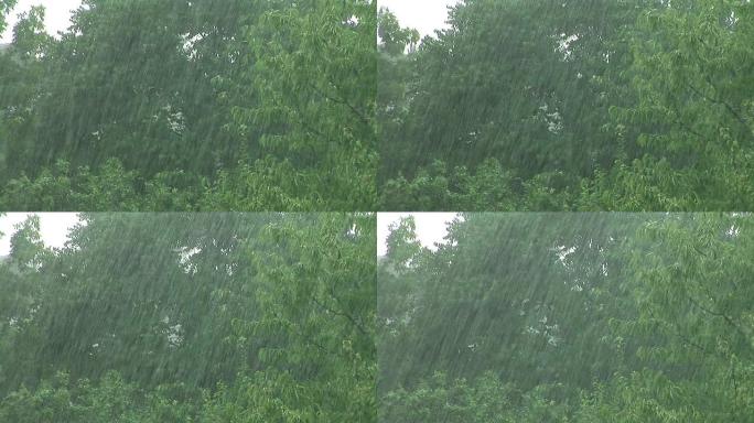 高清: 暴风雨天气