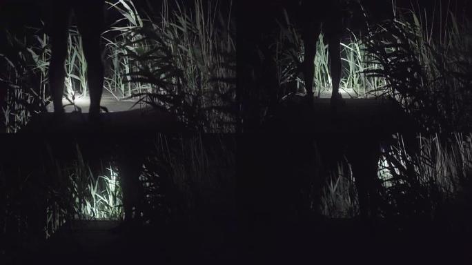 Man walking on a lake pier at night