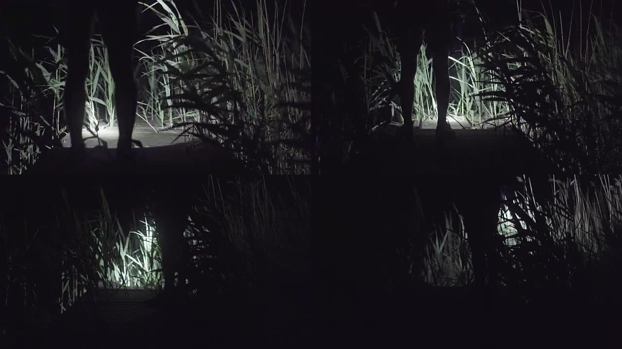 Man walking on a lake pier at night