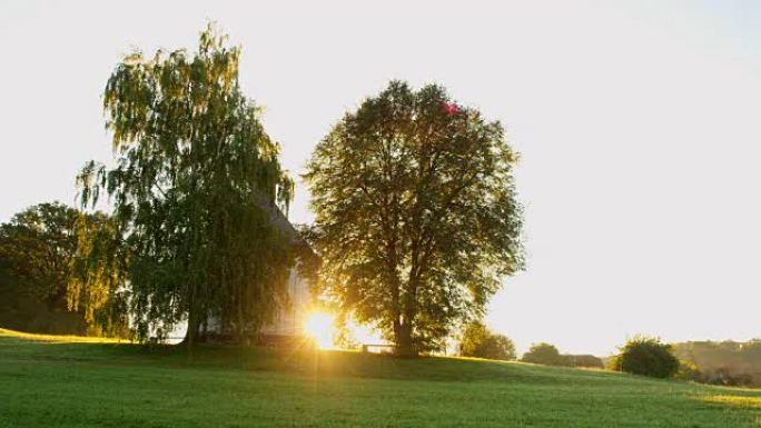 斯洛文尼亚宁静，田园诗般的乡村景观中，阳光照耀着树木