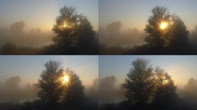 河流景观，雾中树木和早晨的阳光穿透树枝