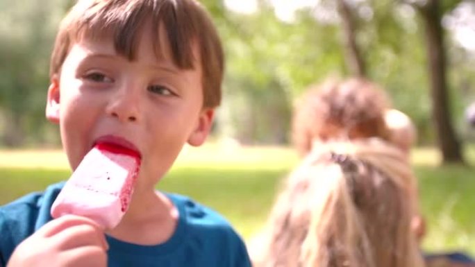 男孩在公园里快乐地舔他的冰淇淋
