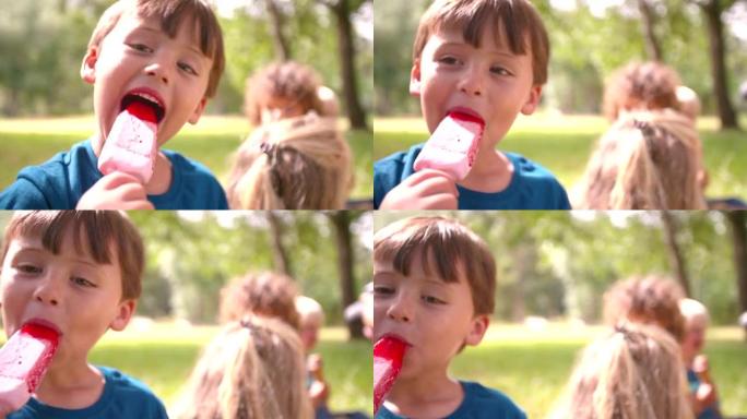 男孩在公园里快乐地舔他的冰淇淋