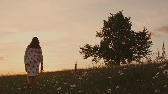 穿着裙子的女孩带着野花在田园诗般的日落草地上，实时，