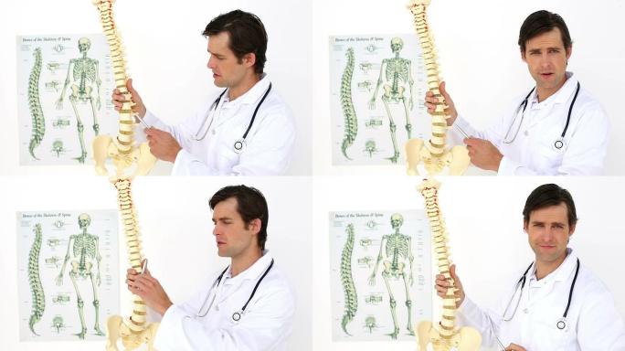 脊椎按摩师向相机解释脊柱模型