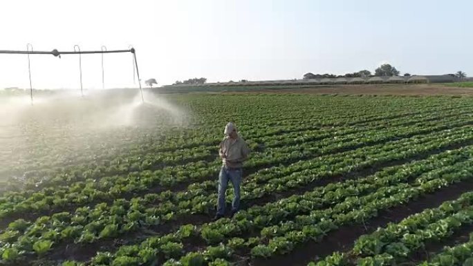使用数字平板电脑和监控中心枢轴灌溉的农民鸟瞰图