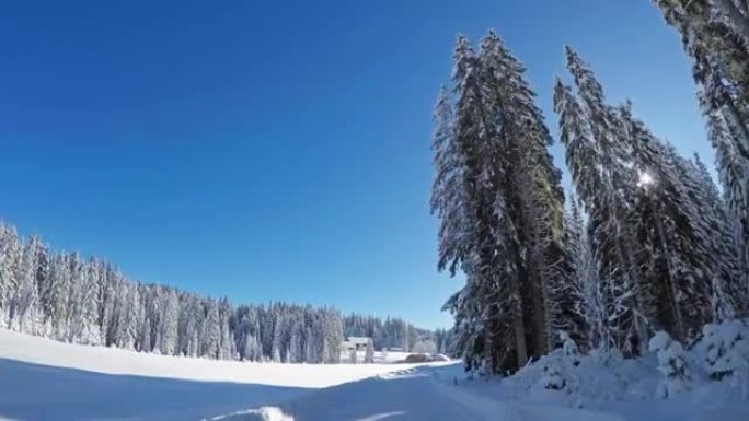 穿越白色森林的雪乡公路上的驾驶视点