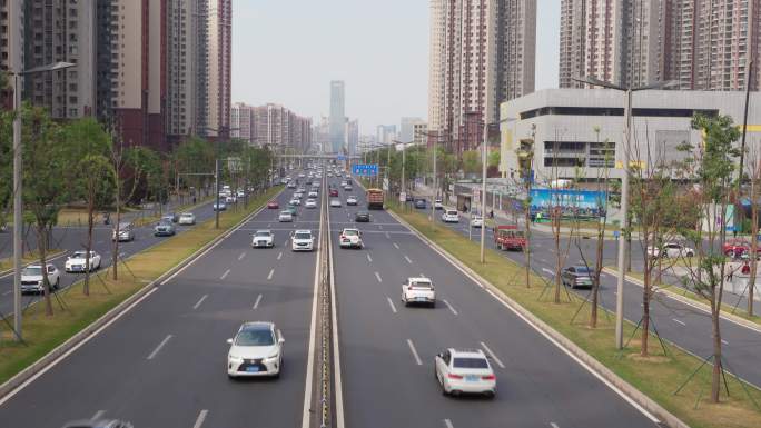 城市主干道路