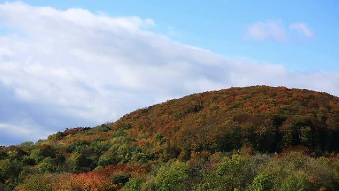 秋天的维也纳森林
