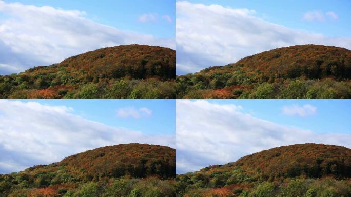 秋天的维也纳森林