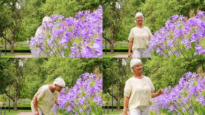 资深白人妇女在公园里散步欣赏鲜花