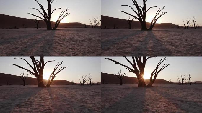 纳米布-瑙克鲁夫特国家公园内死去的vlei枯树后的4k移动太阳落山镜头
