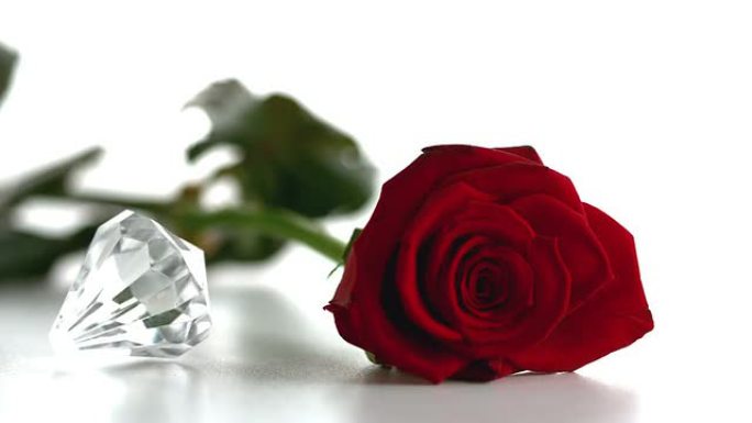 红玫瑰旁边的钻石纺纱
