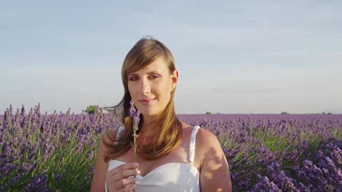 慢动作: 法国普罗旺斯无尽的薰衣草田中穿着白色连衣裙的年轻女子的肖像，闻到薰衣草的香味