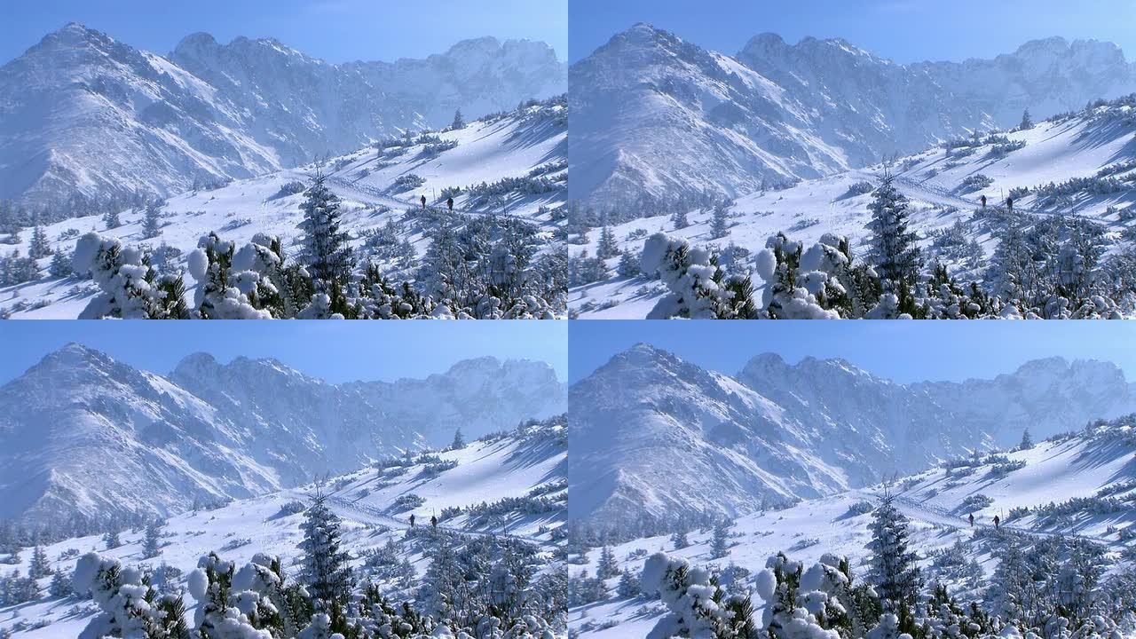 冬季山脉景观雪林雪景冰天雪地