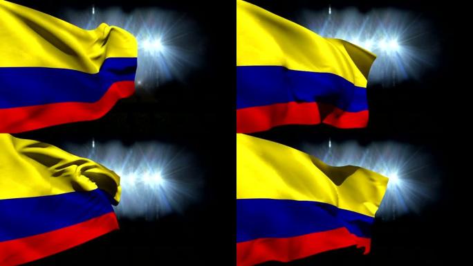 挥舞着大哥伦比亚国旗
