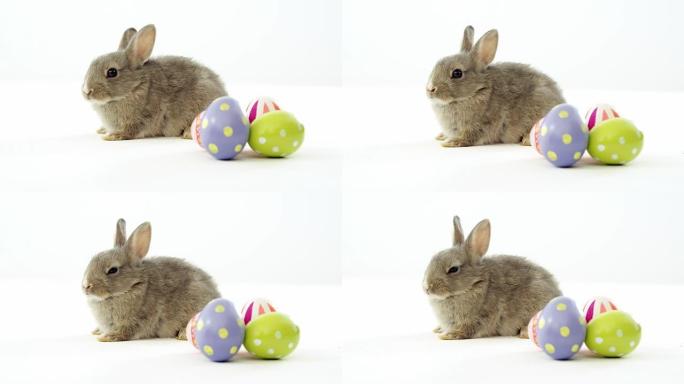 复活节彩蛋和复活节兔子
