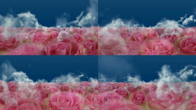 绽放的玫瑰田-玫瑰/云朵/蓝色（无缝可循环）