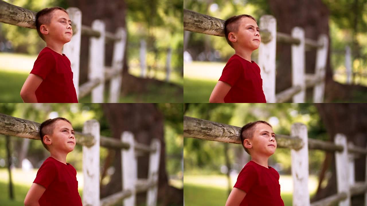 小男孩靠在篱笆上在夏日公园做白日梦