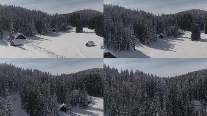 空中: 冬季白雪皑皑的云杉林中的高山房屋