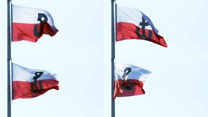 波兰国旗上有战斗波兰符号