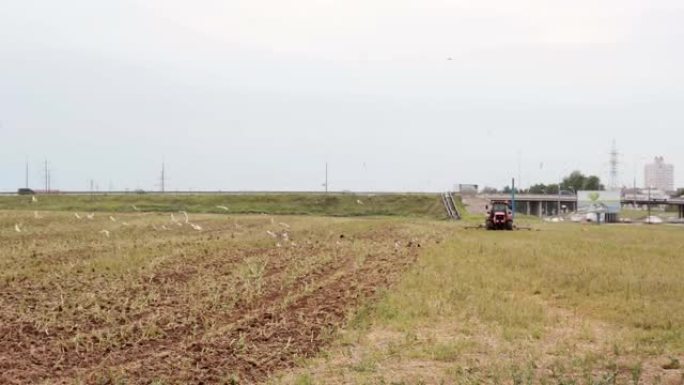 农用拖拉机的侧面和后视图，在耕地上播种，向右转。农业，农作物
