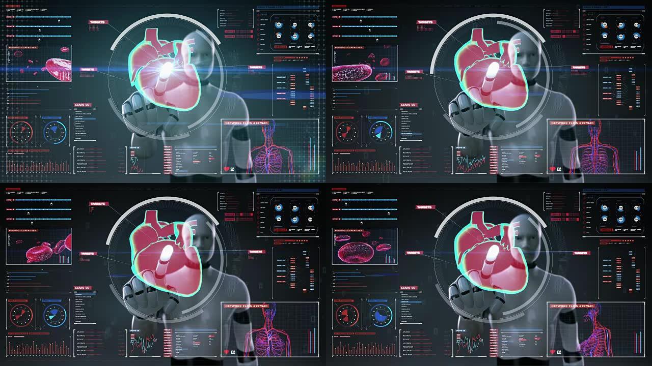 机器人触摸数字屏幕，扫描心脏。人体心血管系统。
