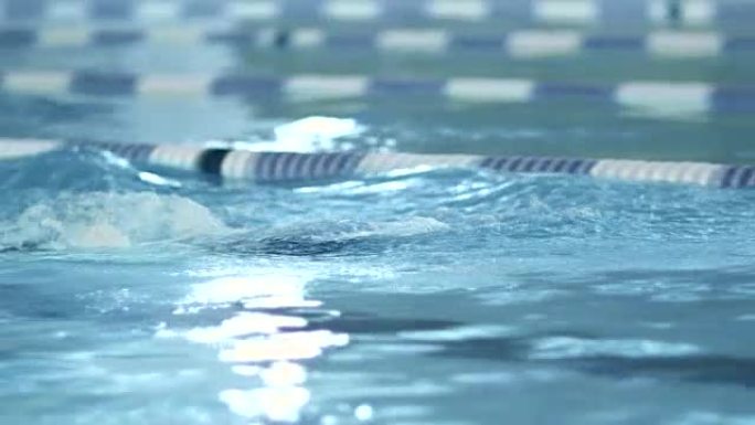 专业游泳运动员在游泳池训练中进行蝶泳的特写镜头