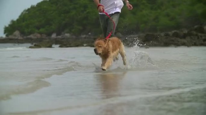 年轻人带着他的狗在海边跑步。
