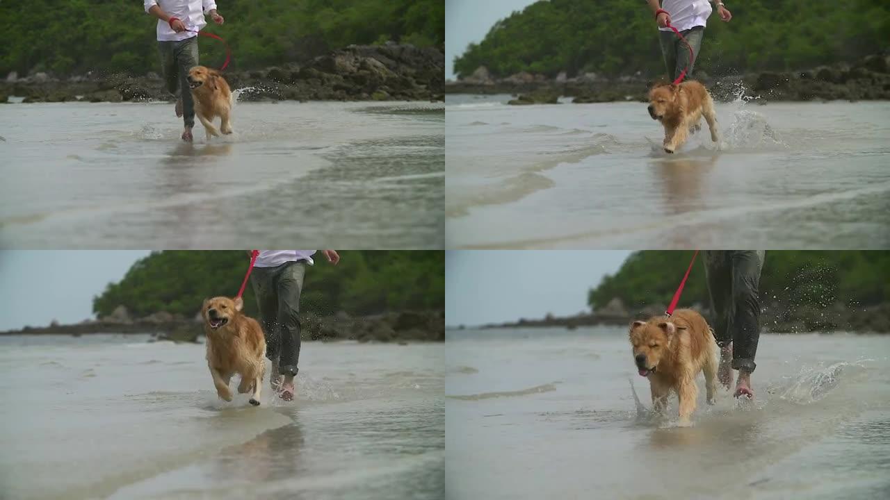 年轻人带着他的狗在海边跑步。